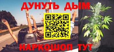 прущие крисы Будённовск