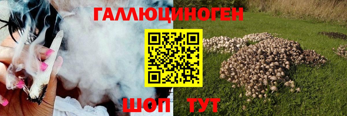Краснодар  Псилоцибиновые грибы Psilocybe  Вход с VPN 