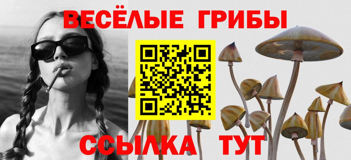 МДМА  ТГК  COCAIN  A PVP СК кристаллы  Вход с VPN  Гашиш  Меф МЯУ МЯУ кристаллы  ГАШИШ  Краснодар  Канабис 