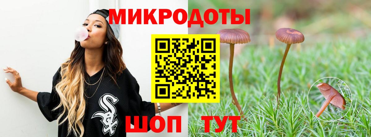 Псилоцибиновые грибы мицелий Краснодар